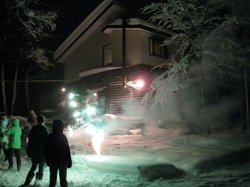 Alpine Lodge Hakuba Extérieur photo