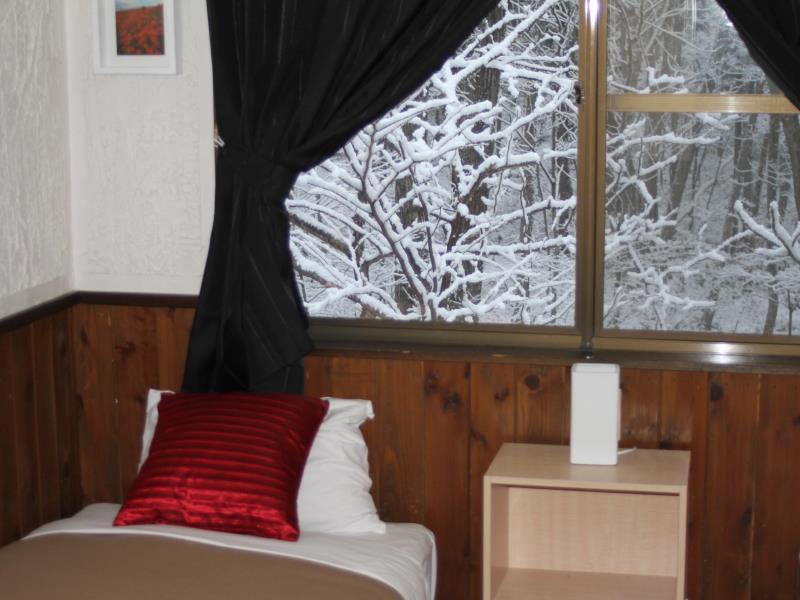 Alpine Lodge Hakuba Extérieur photo